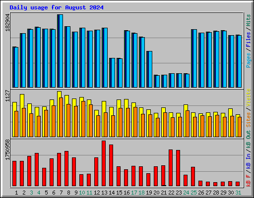 Daily usage for August 2024