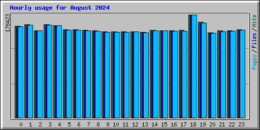 Hourly usage for August 2024